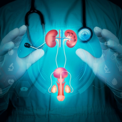 Nephrology