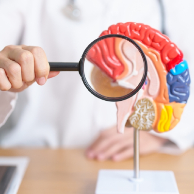 Neurology